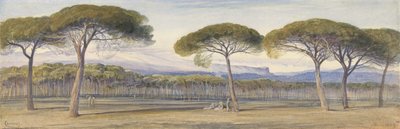 Vue des Bois de Pins au-dessus de Cannes - Edward Lear