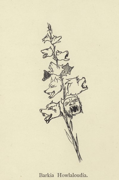 Barkia Howlaloudia - Edward Lear