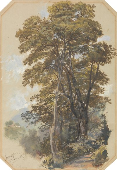 Corpo di Cava, le 28 juin 1838 - Edward Lear