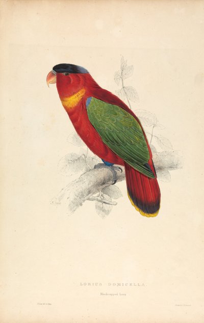  - Edward Lear