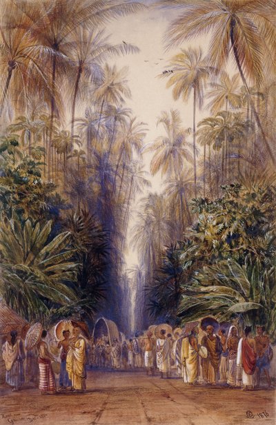 Sur la route de Galle, Ceylan - Edward Lear