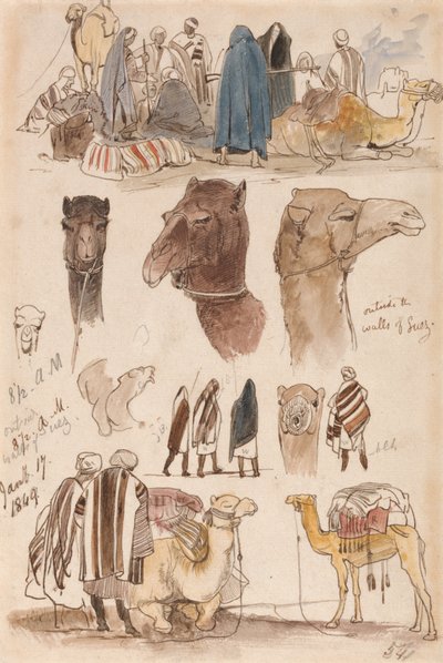 Hors des murs de Suez, 8h30, 17 janvier 1849 (54) - Edward Lear