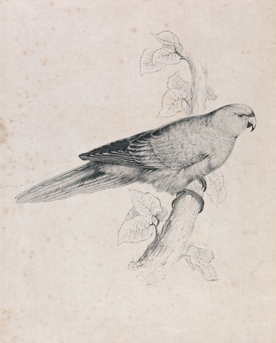  - Edward Lear