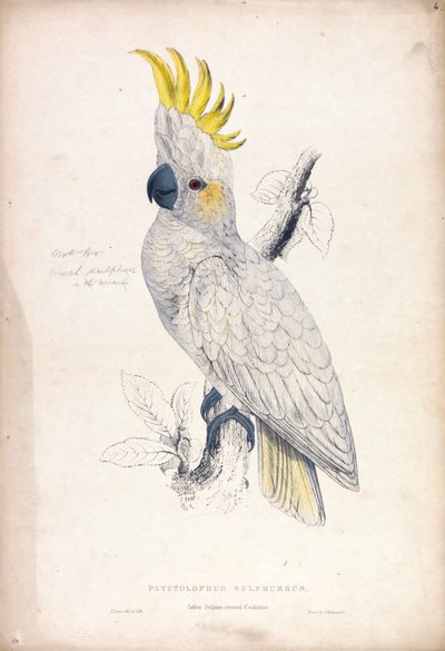  - Edward Lear
