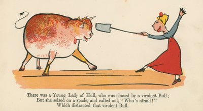 Il y avait une jeune dame de Hull, qui était poursuivie par un taureau virulent, de 