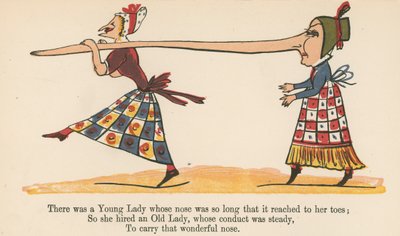 Il y avait une jeune dame dont le nez était si long qu