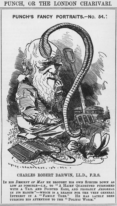 Charles Darwin, portraits fantaisistes de Punch, No 54, illustration de 
