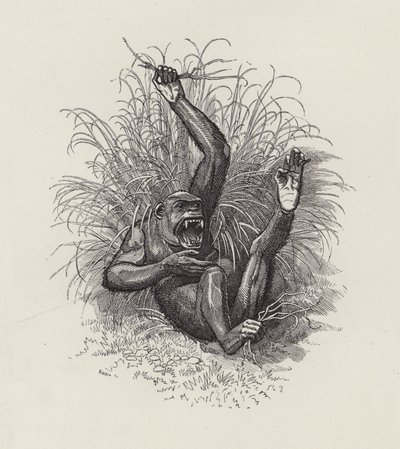 Illustration pour Les Enfants de l