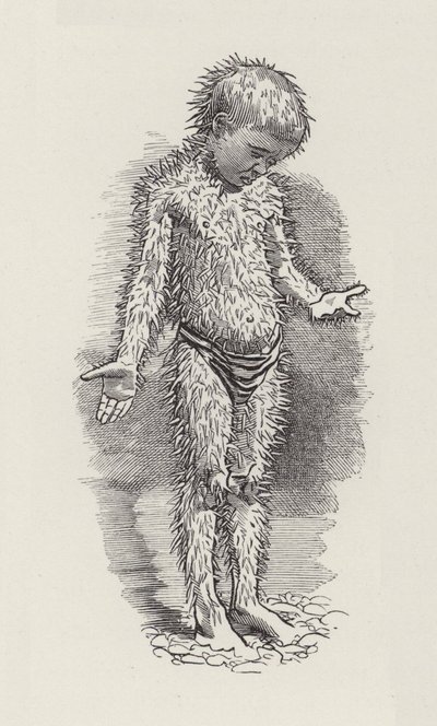 Illustration pour Les Enfants de l