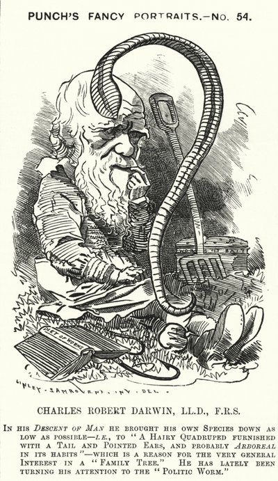 Caricature de Punch : Charles Darwin, naturaliste et biologiste anglais - Edward Linley (after) Sambourne