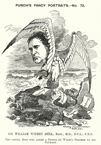 Caricature de Sir William Withey Gull, médecin anglais qui a traité le prince de Galles pour la typhoïde et est devenu médecin ordinaire de la reine Victoria (gravure) - Edward Linley (after) Sambourne