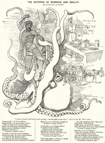 Caricature de Punch : Le Poulpe de la romance et de la réalité - Edward Linley (after) Sambourne