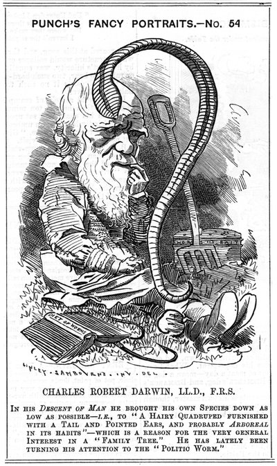 Charles Darwin (1809-1882) naturaliste anglais. Évolution par sélection naturelle. Caricature par Edward Linley Sambourne (1844-1910) dans la série Fancy Portraits de Punch, Londres 1881, l