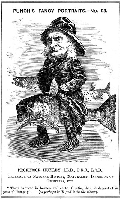 Thomas Henry Huxley, biologiste anglais, 1881 - Edward Linley Sambourne
