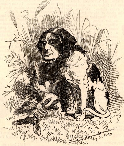 William GGV Vernon Harcourt (1827-1904) - Edward Linley Sambourne