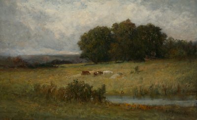 Scène lumineuse de bétail près d