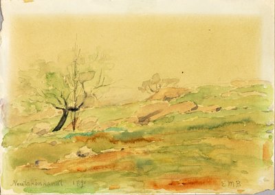 Neutakonkanut - Edward Mitchell Bannister