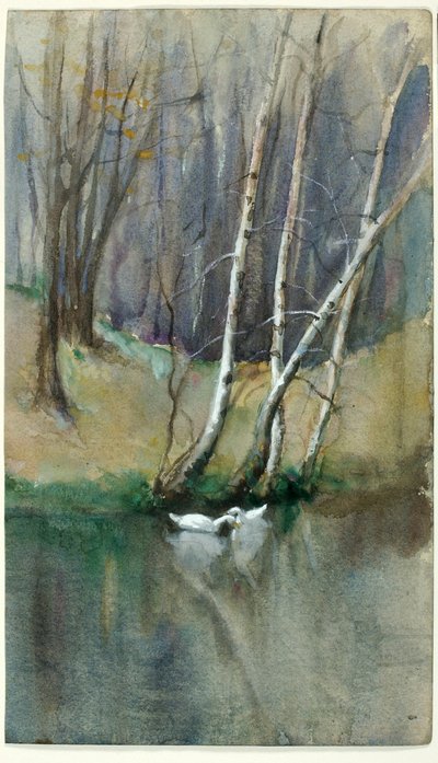 Sans titre (scène en bois avec bouleaux et canards) - Edward Mitchell Bannister