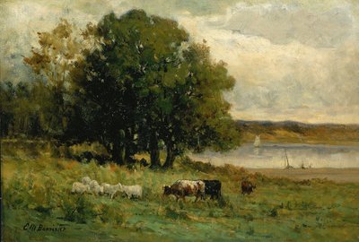 Sans titre (bétail près d