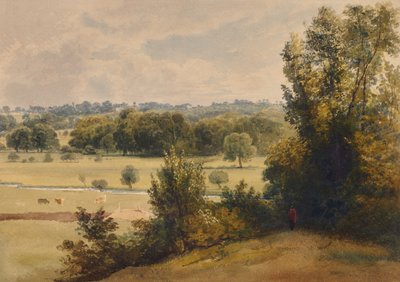 Paysage d