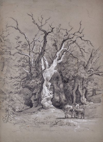 Paysage avec arbre - Edward Pretty