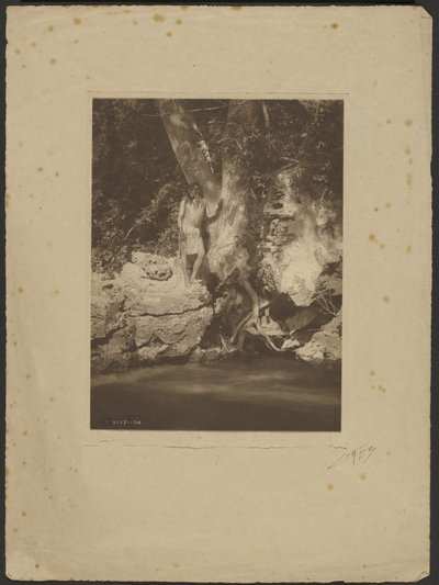 Apache-Black River (By the Sycamore) - Edward S. Curtis