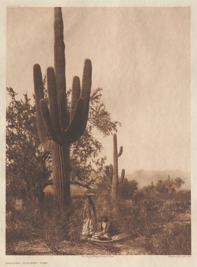 Portefeuille II, planches 40-75 - Edward S. Curtis