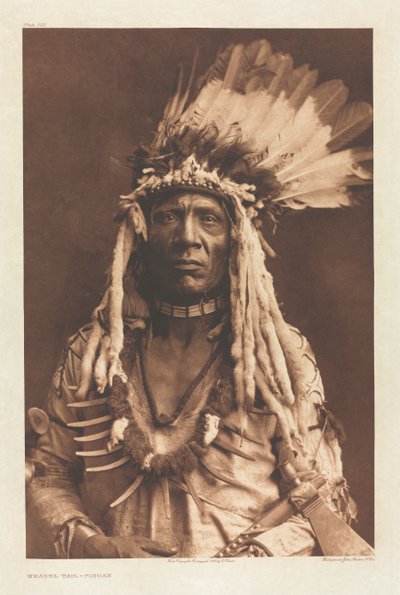 Portfolio VI, Planche 203: Queue de belette - Piegan - Edward S. Curtis