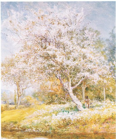 Cueillette de fleurs - Edward Samuel Harper