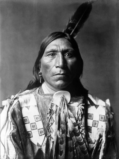 Little Hawk, homme Brule, Dakota du Sud, vers 1907, photo Edward S. Curtis - Edward Sheriff Curtis