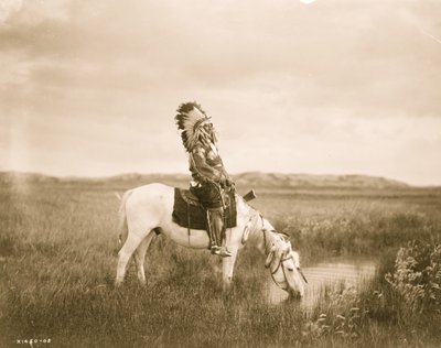 Oasis dans les Badlands 1905 - Edward Sheriff Curtis
