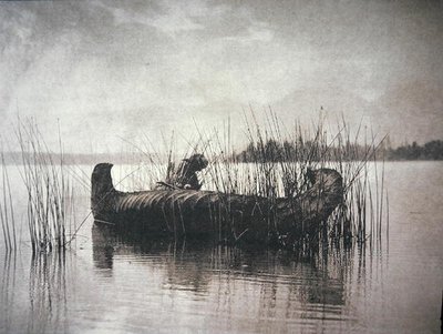 Le ramasseur de joncs, Montana - Edward Sheriff Curtis