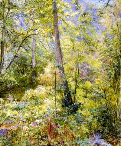 Lumière du soleil tachetée, bois de Sheepscombe - Edward Steel Harper
