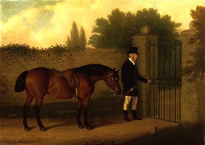 Un Gentleman Menant un Cob Gallois Près d