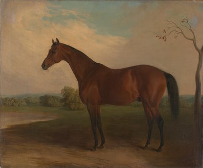 Souverain - Edward Troye