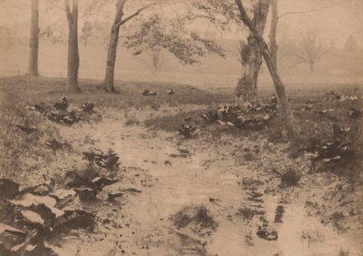 Paysage de printemps, années 1890 (photo) - Edward Willis Redfield