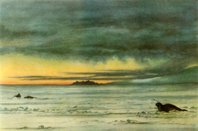 Regard vers le nord dans le détroit de McMurdo - Edward Wilson