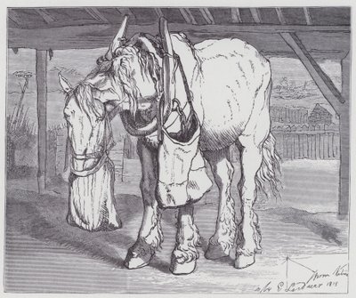 Un cheval de trait - Edwin (after) Landseer