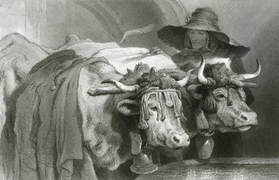 Bœufs au réservoir, Genève (gravure) - Edwin (after) Landseer