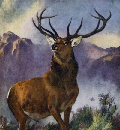 Le Monarque des Highlands - Edwin (after) Landseer
