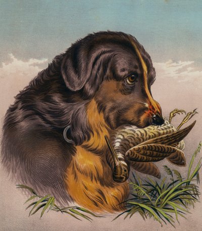 Le Retriever - Edwin (after) Landseer