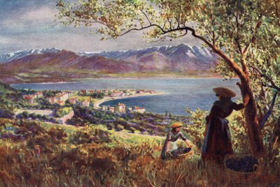 Corse : Vue générale d