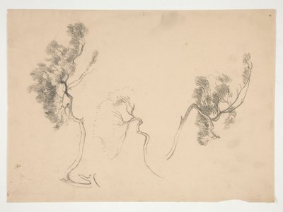 Esquisses de branches - Edwin Austin Abbey