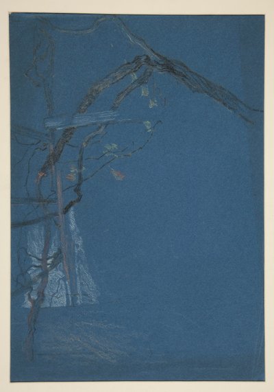 Étude de branches d