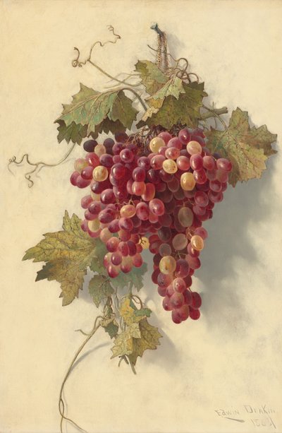 Raisins contre mur blanc - Edwin Deakin