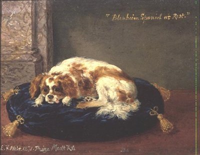 Épagneul Blenheim au repos - Edwin Frederick Holt