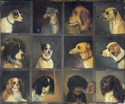 Douze Chiens Préférés, 1883 - Edwin Frederick Holt