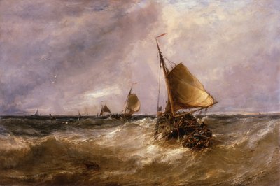 Œillets Néerlandais - Edwin Hayes