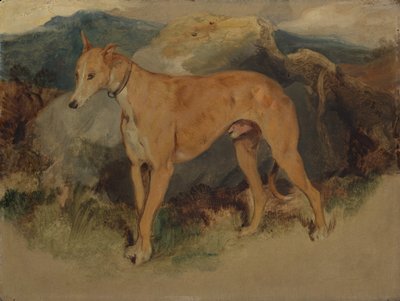 Un Lévrier, 1826 - Edwin Landseer