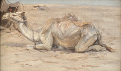 Chameau au camp des artistes avec des Bédouins - Edwin John Alexander